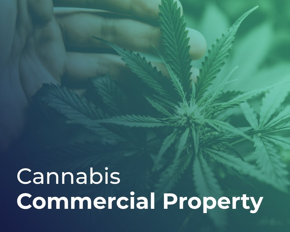 PLR-CannabisCommercialProp-500x400