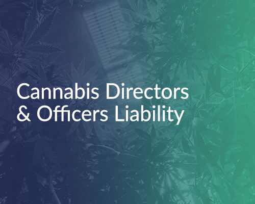 cannabis-directors-officers-500x400